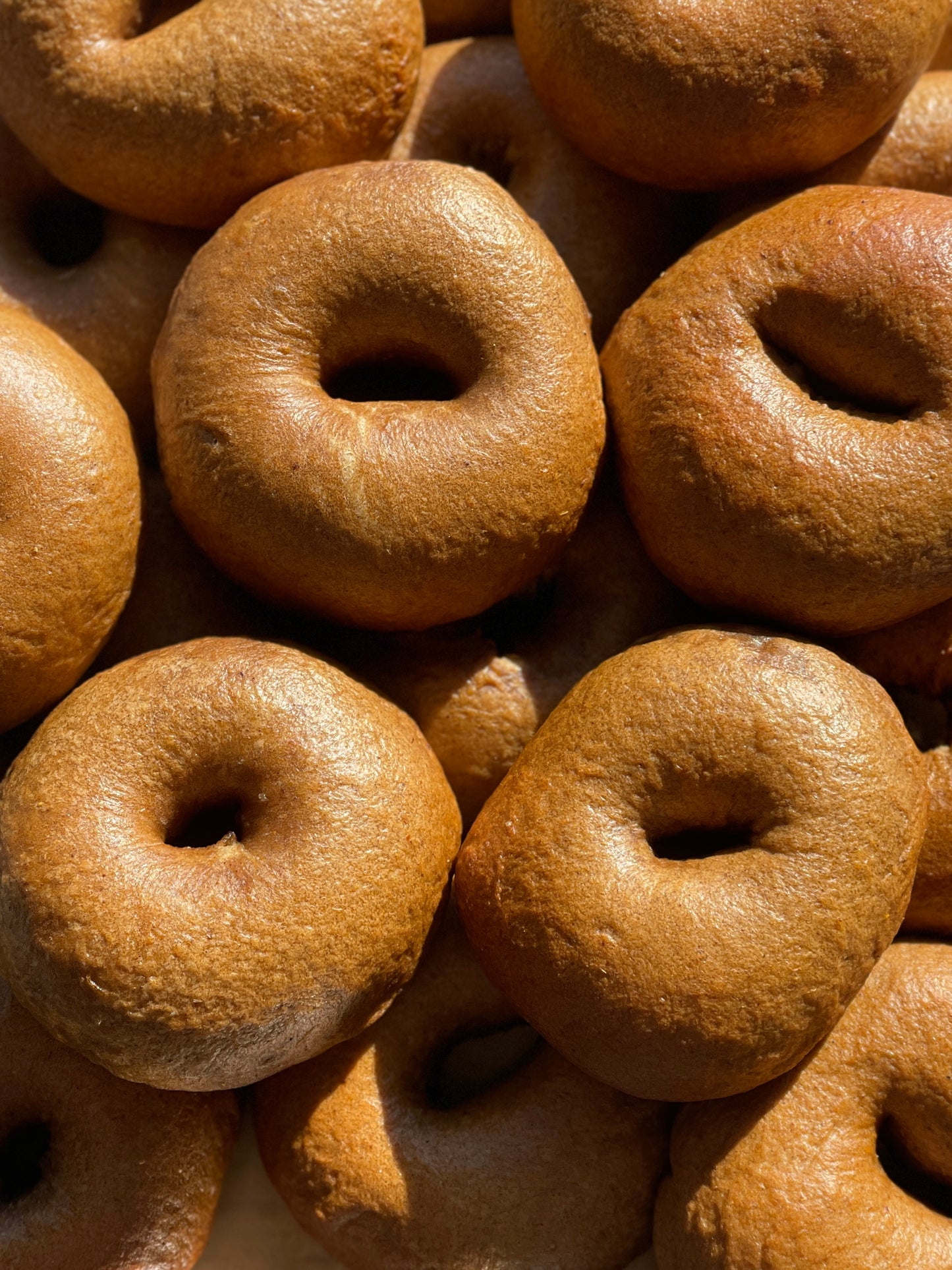 Sourdough Bagels