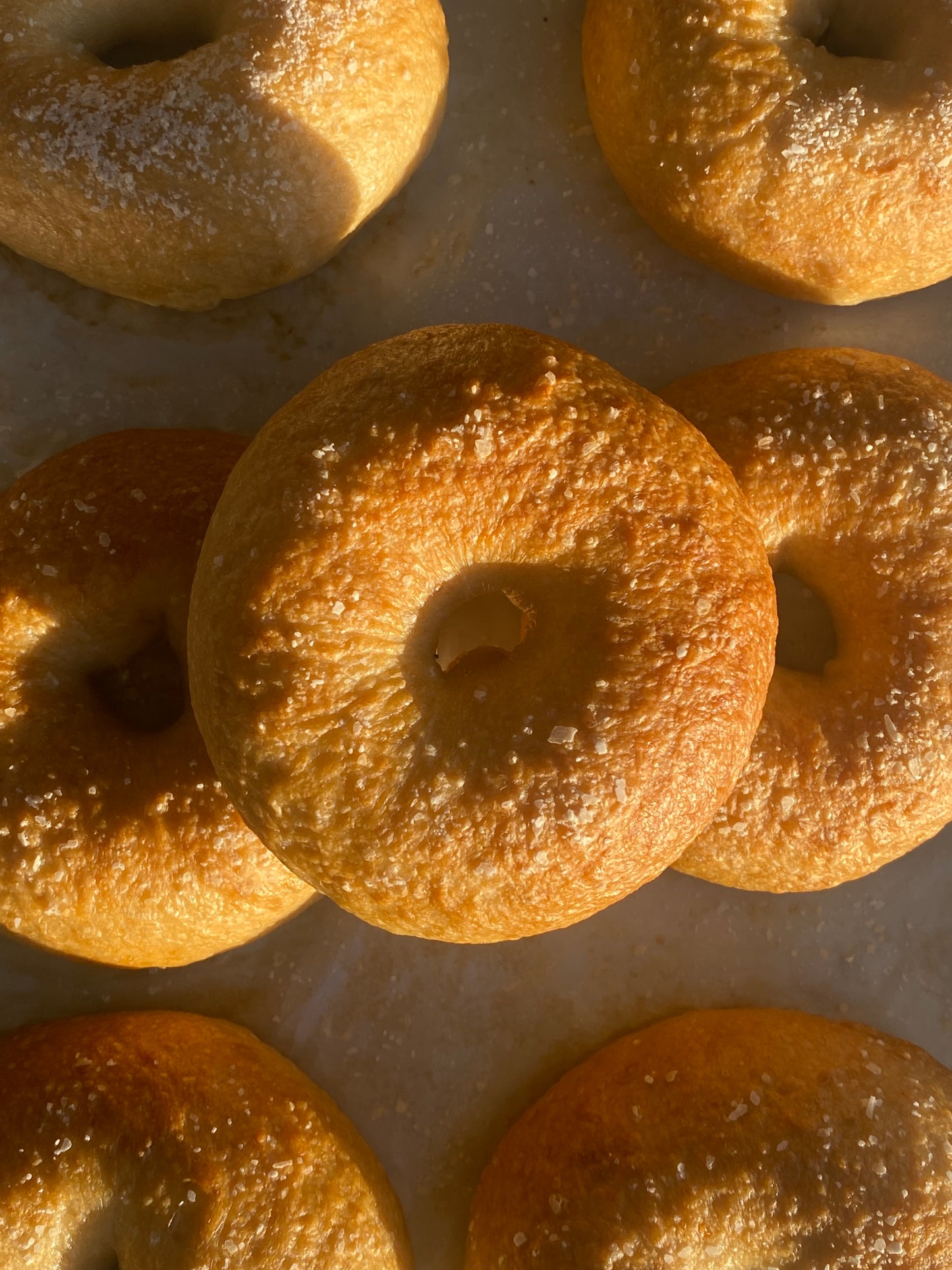 Sourdough Bagels