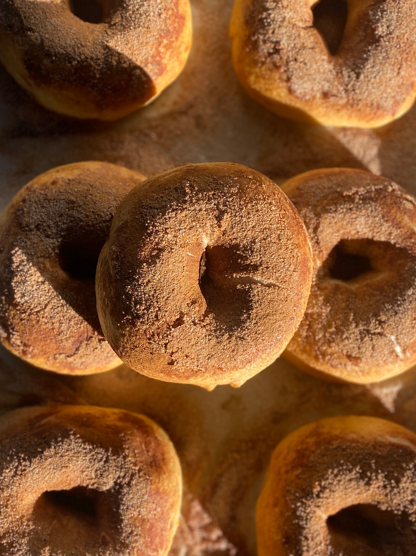 Sourdough Bagels