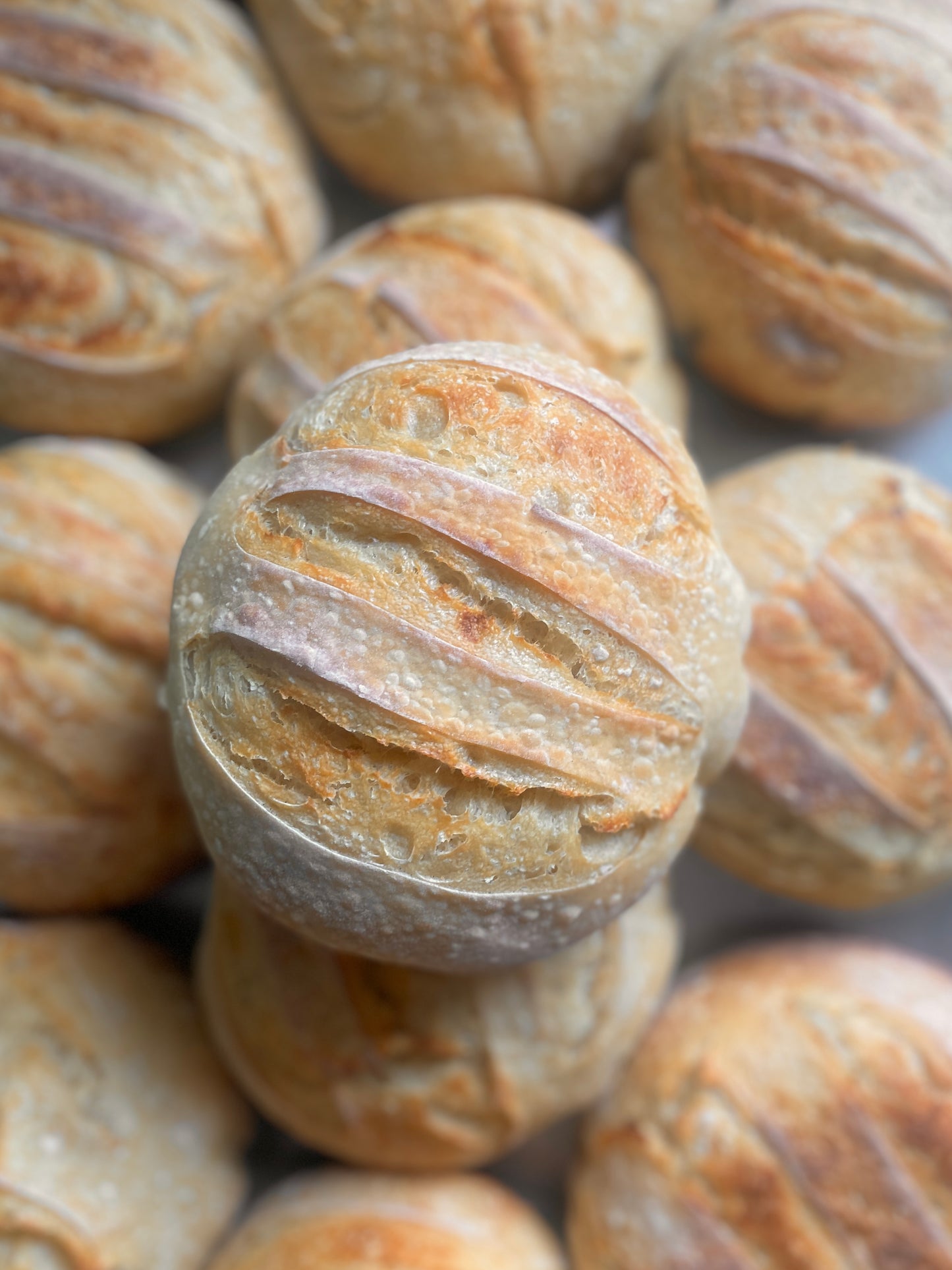 Sourdough Bread Flavors (Boule)