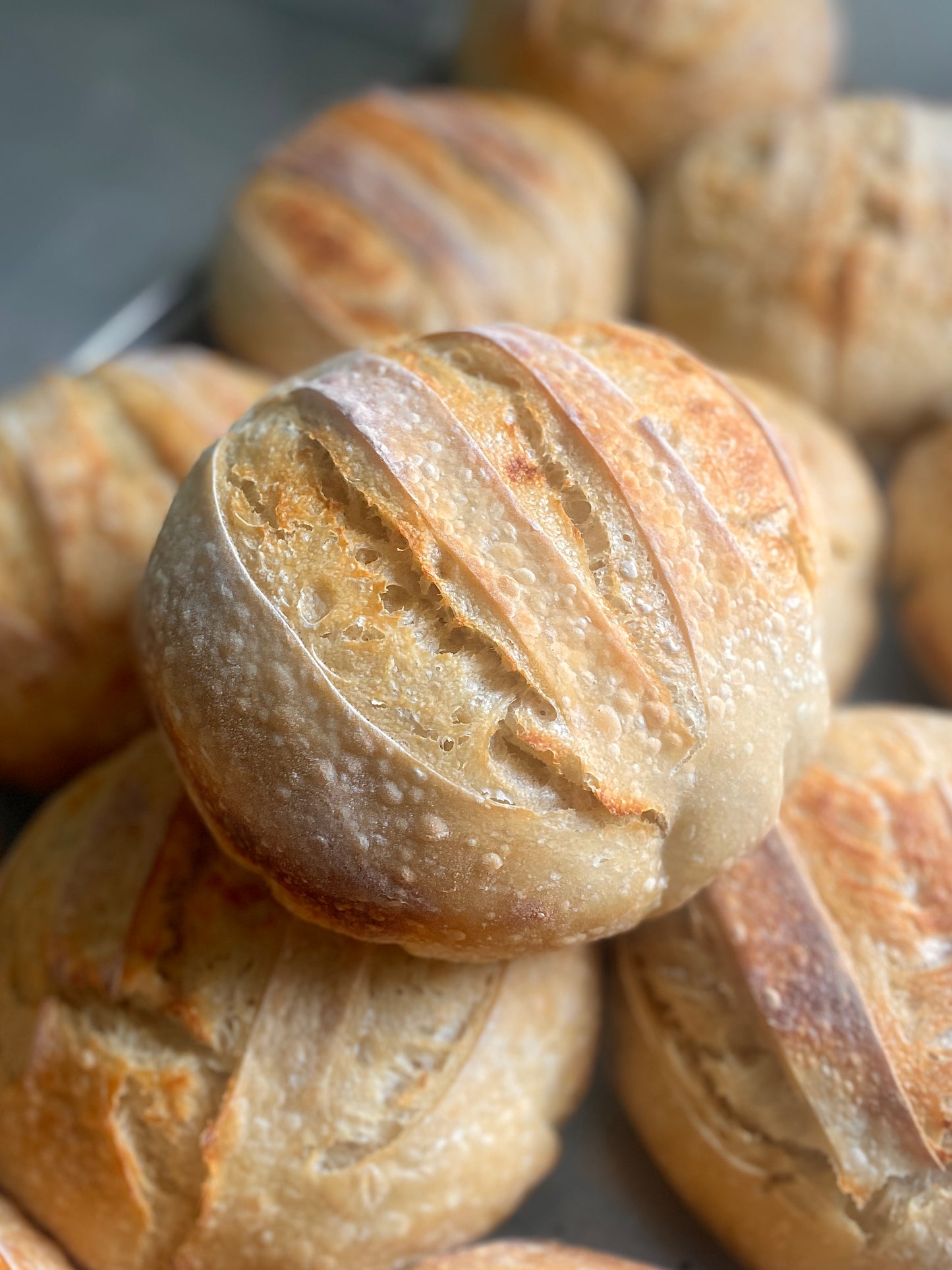 Sourdough Bread Flavors (Boule)