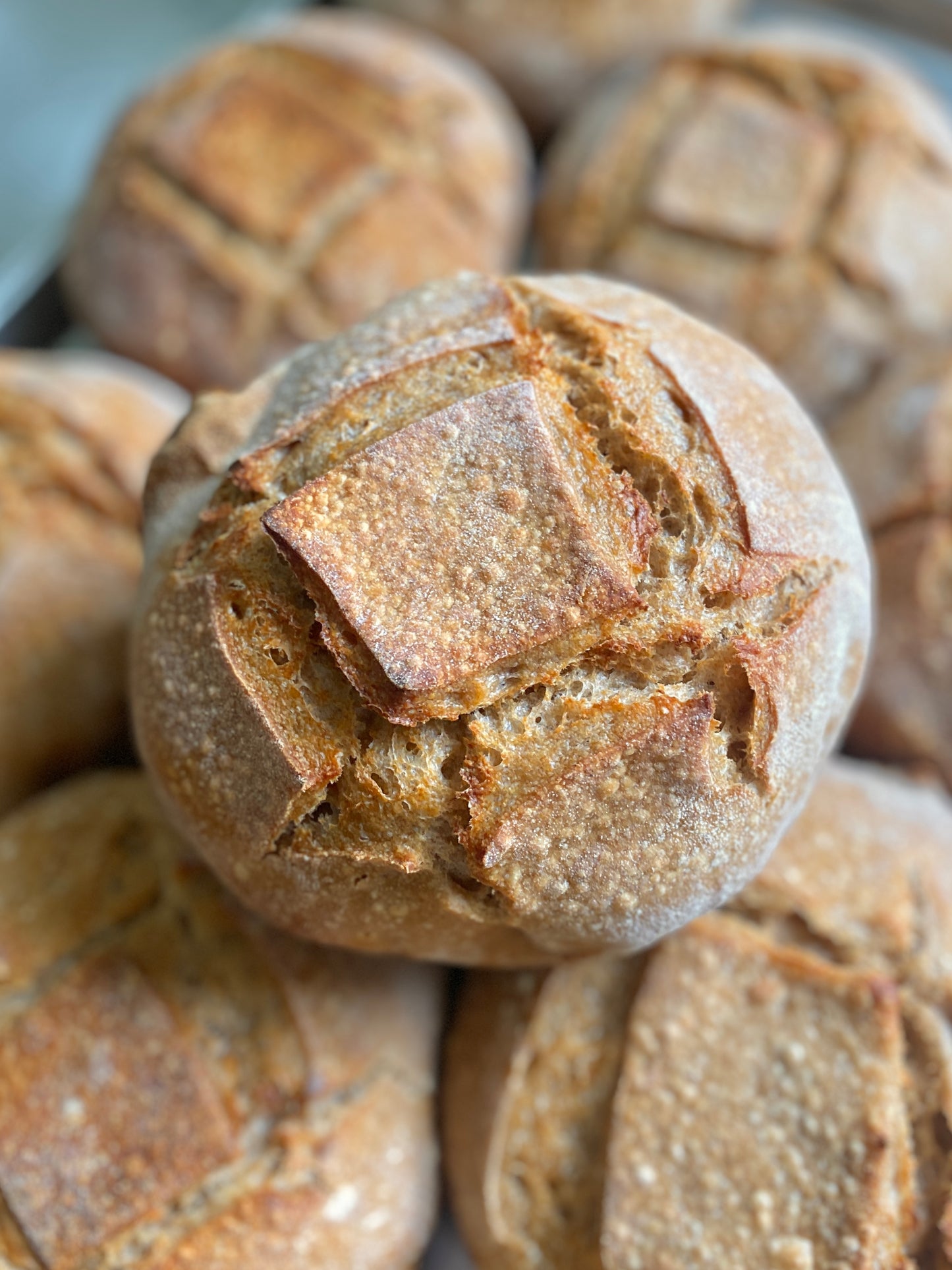 Sourdough Bread Flavors (Boule)