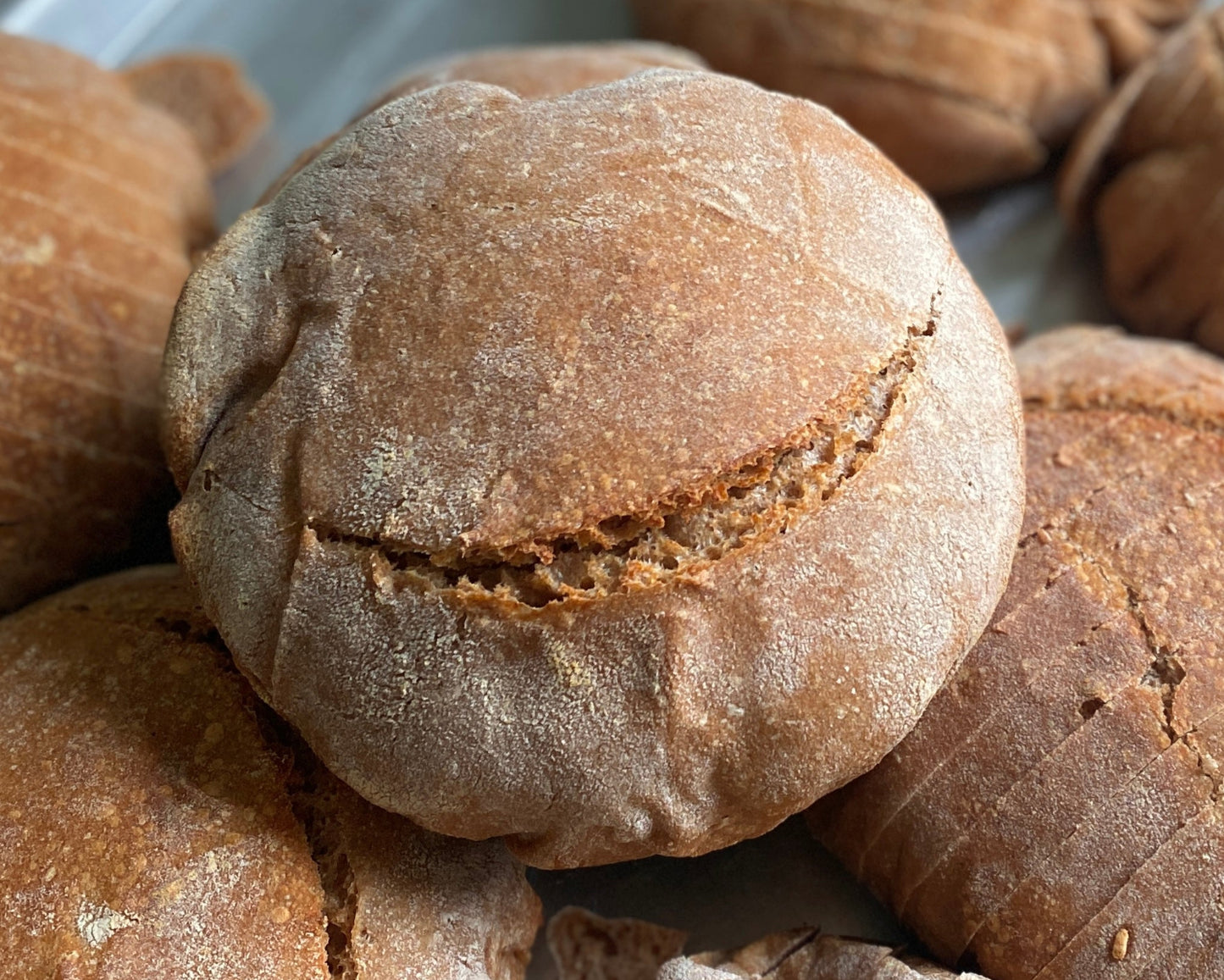 Sourdough Bread Flavors (Boule)