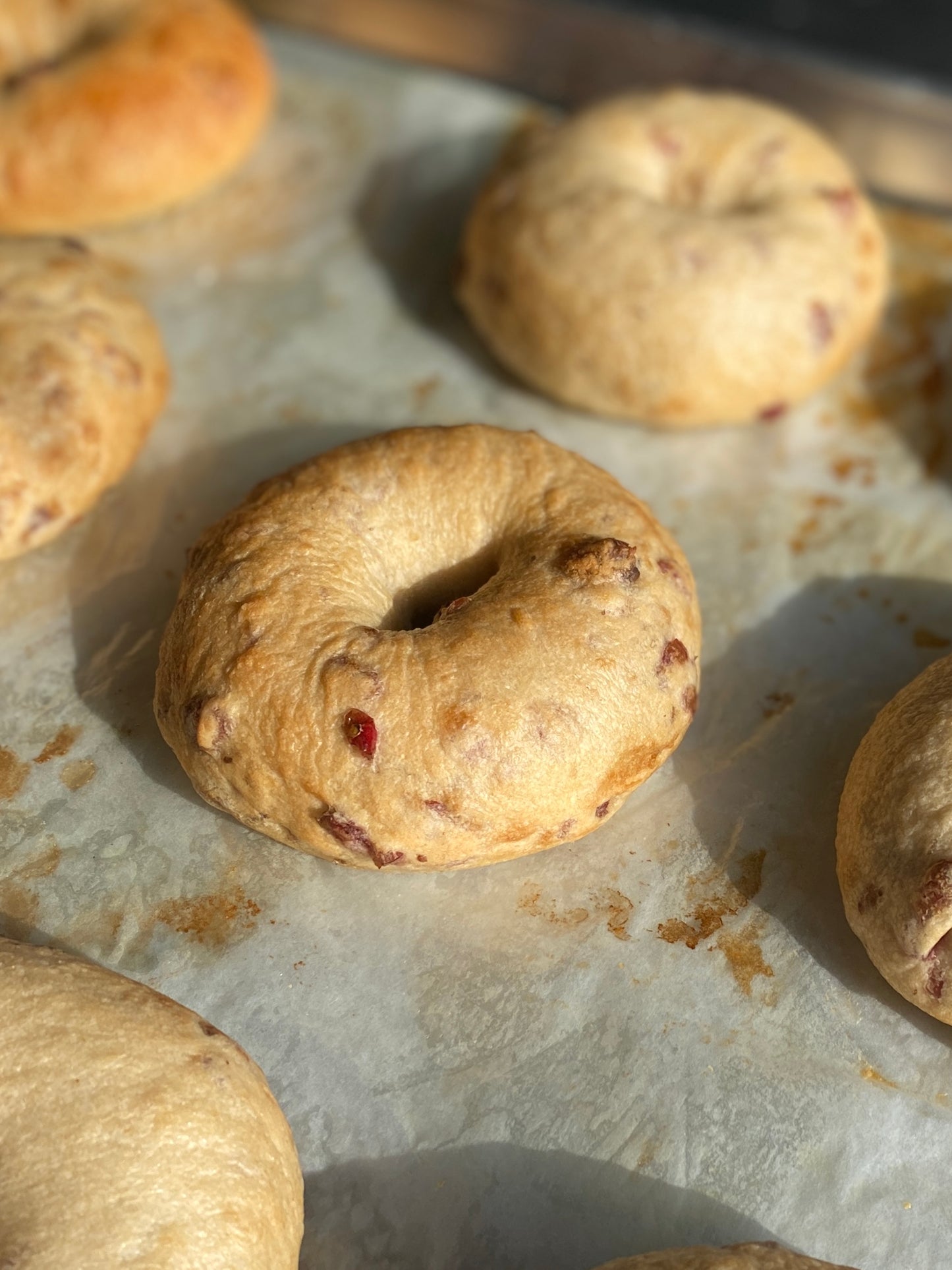 Sourdough Bagels