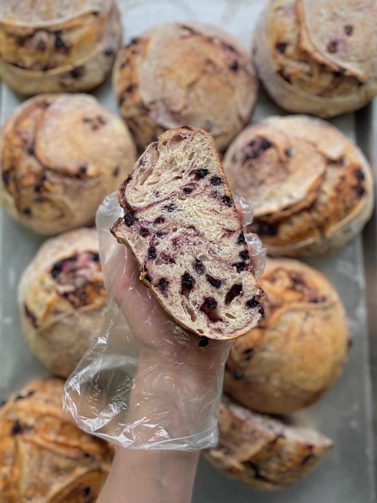 Special Flavor - Blueberry Lemon Sourdough