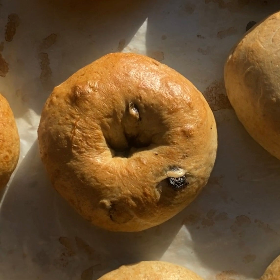 Sourdough Bagels