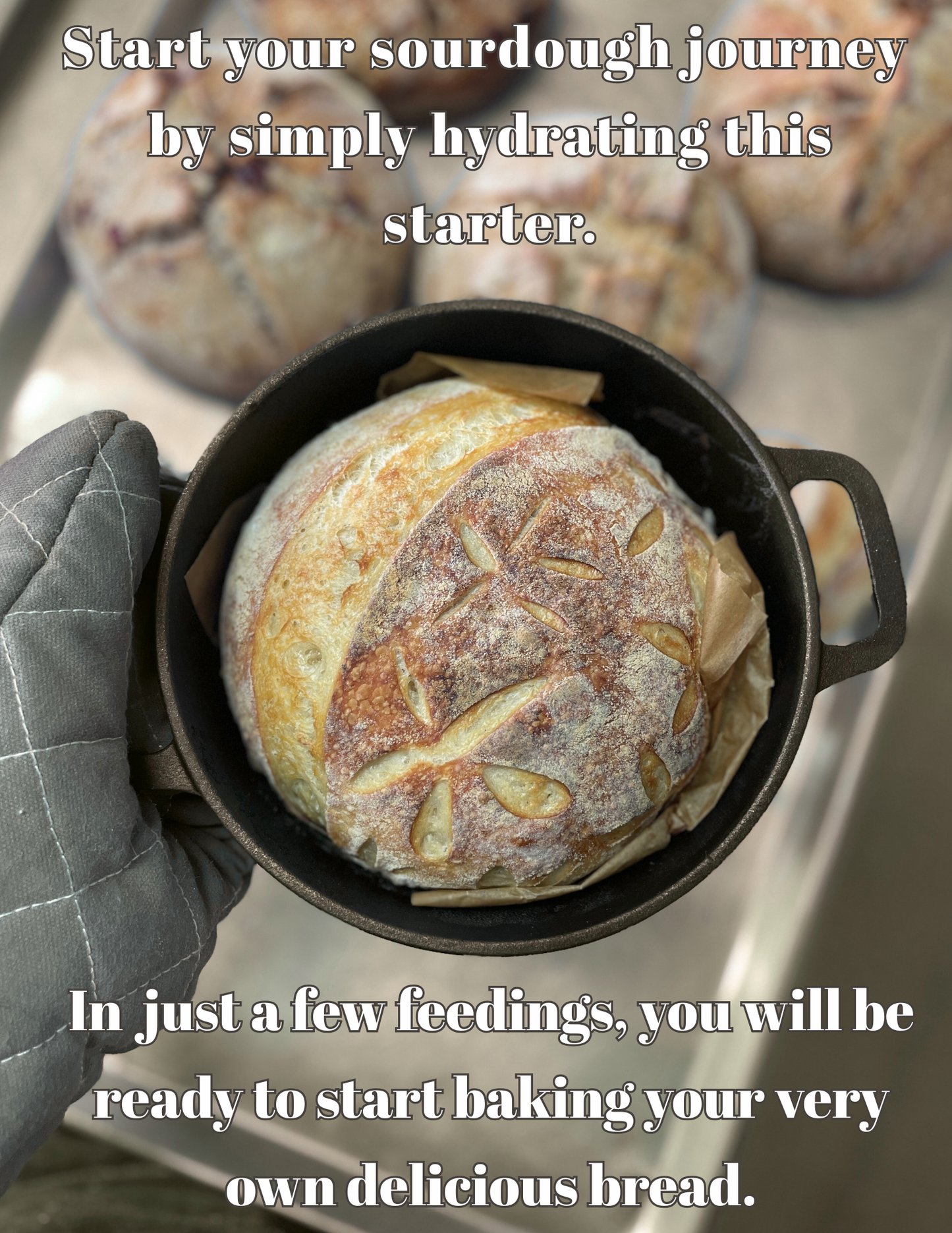 Sourdough Starter Kits