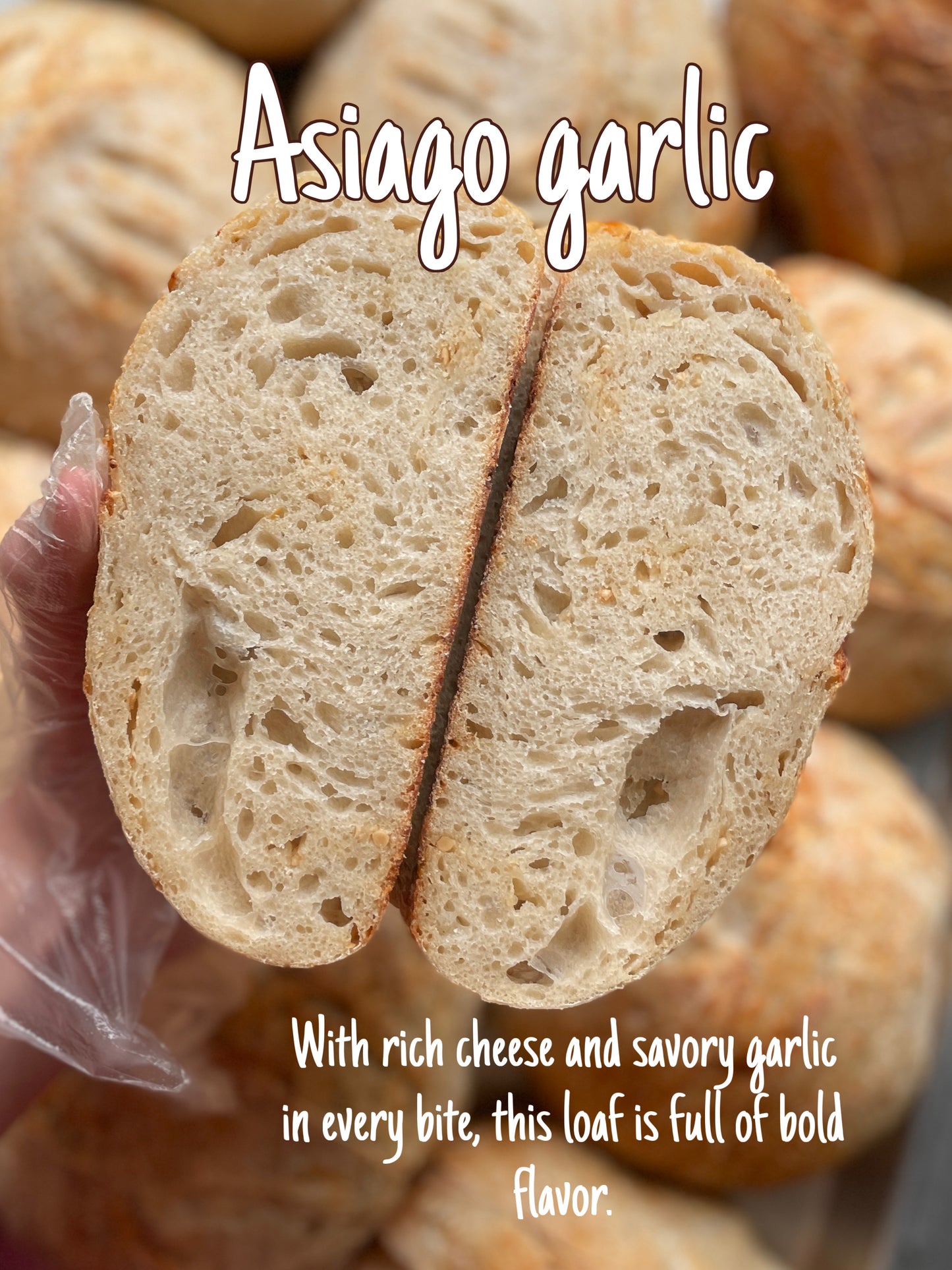 Special Flavor - Asiago Garlic