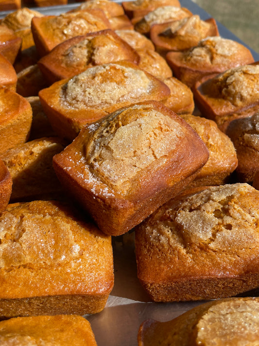 Pumpkin sweet bread - sourdough! 2 pack
