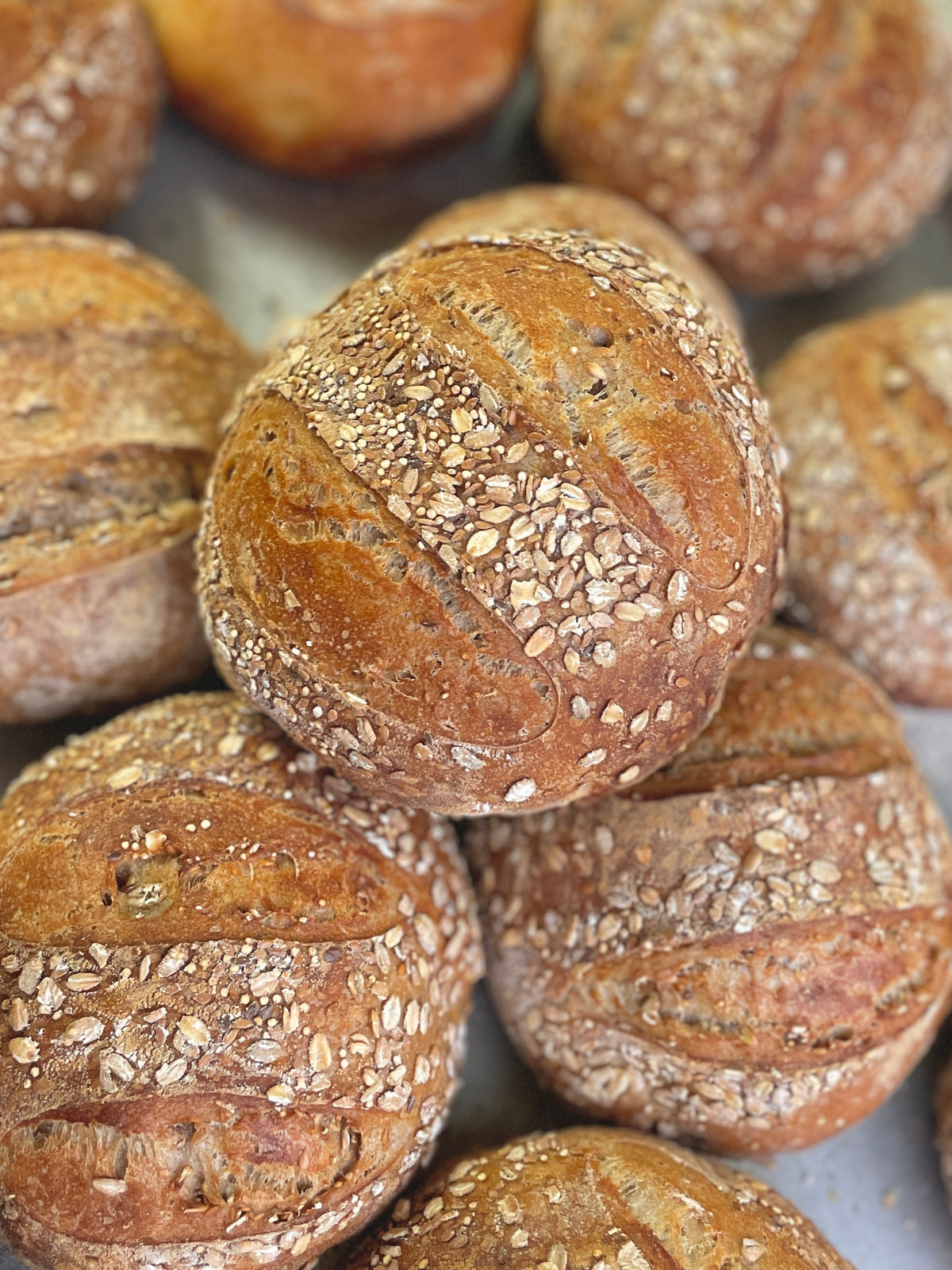 Sourdough Bread Flavors (Boule)