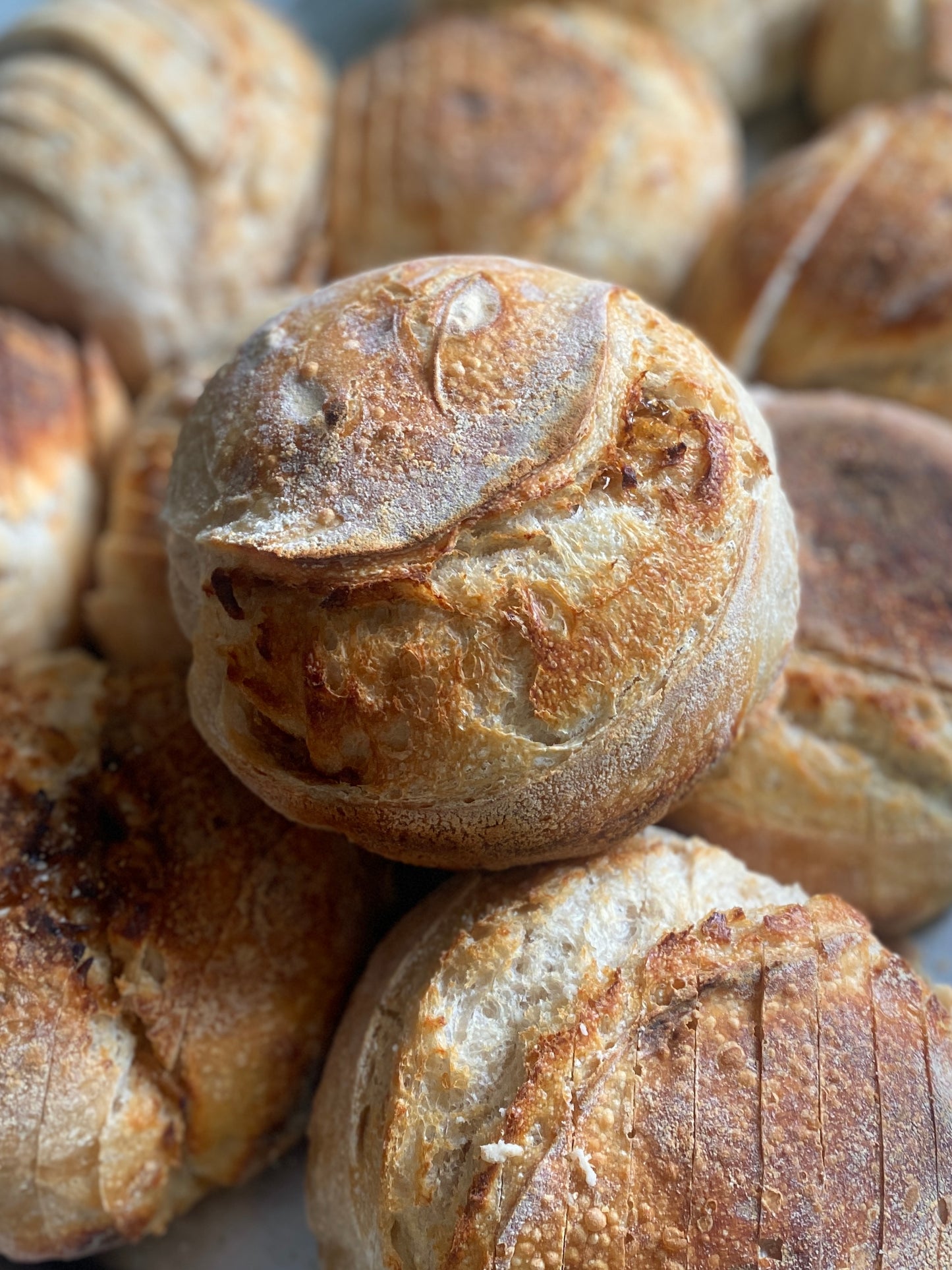 Sourdough Bread Flavors (Boule)