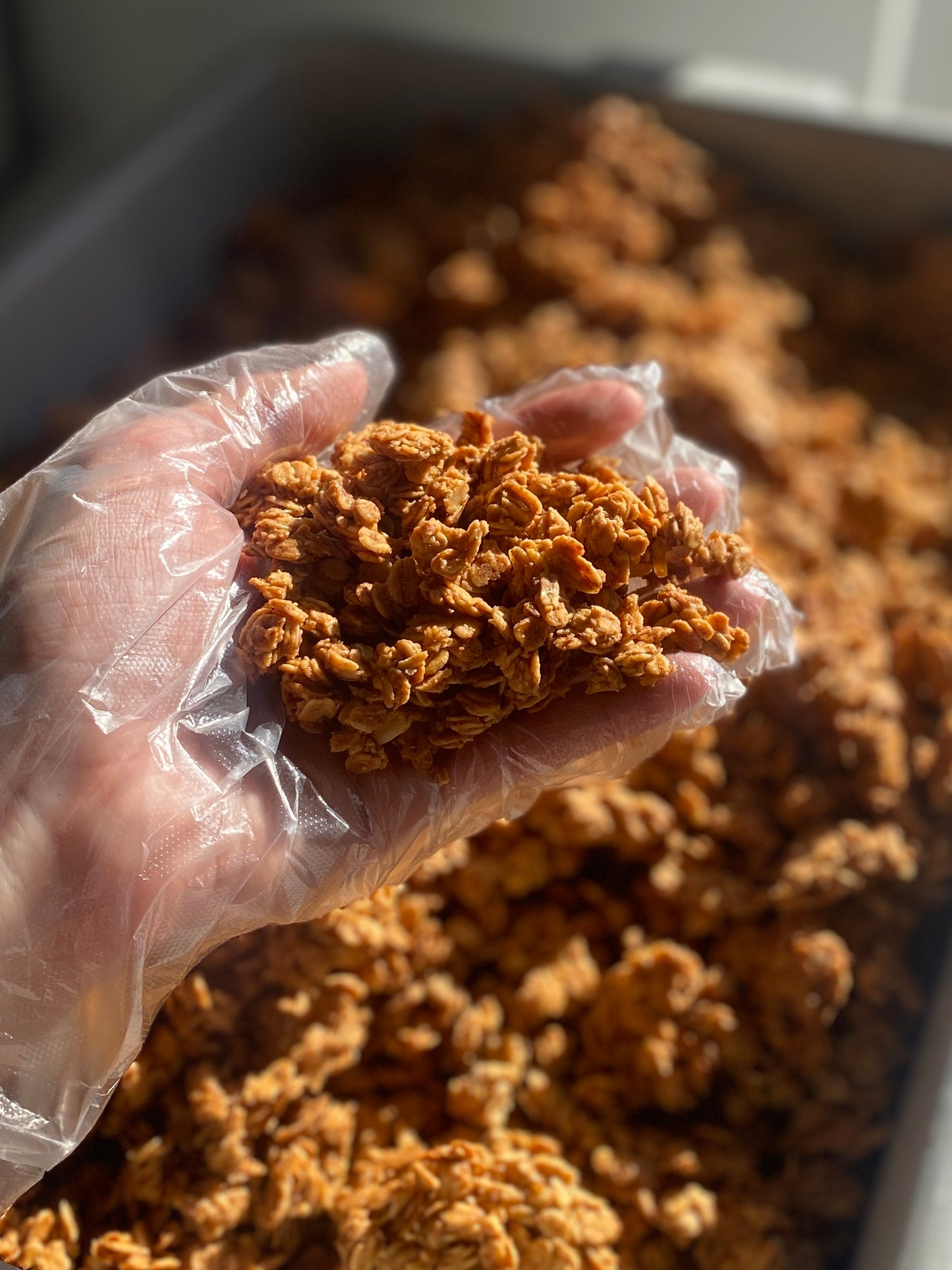 Sourdough Granola - 10oz