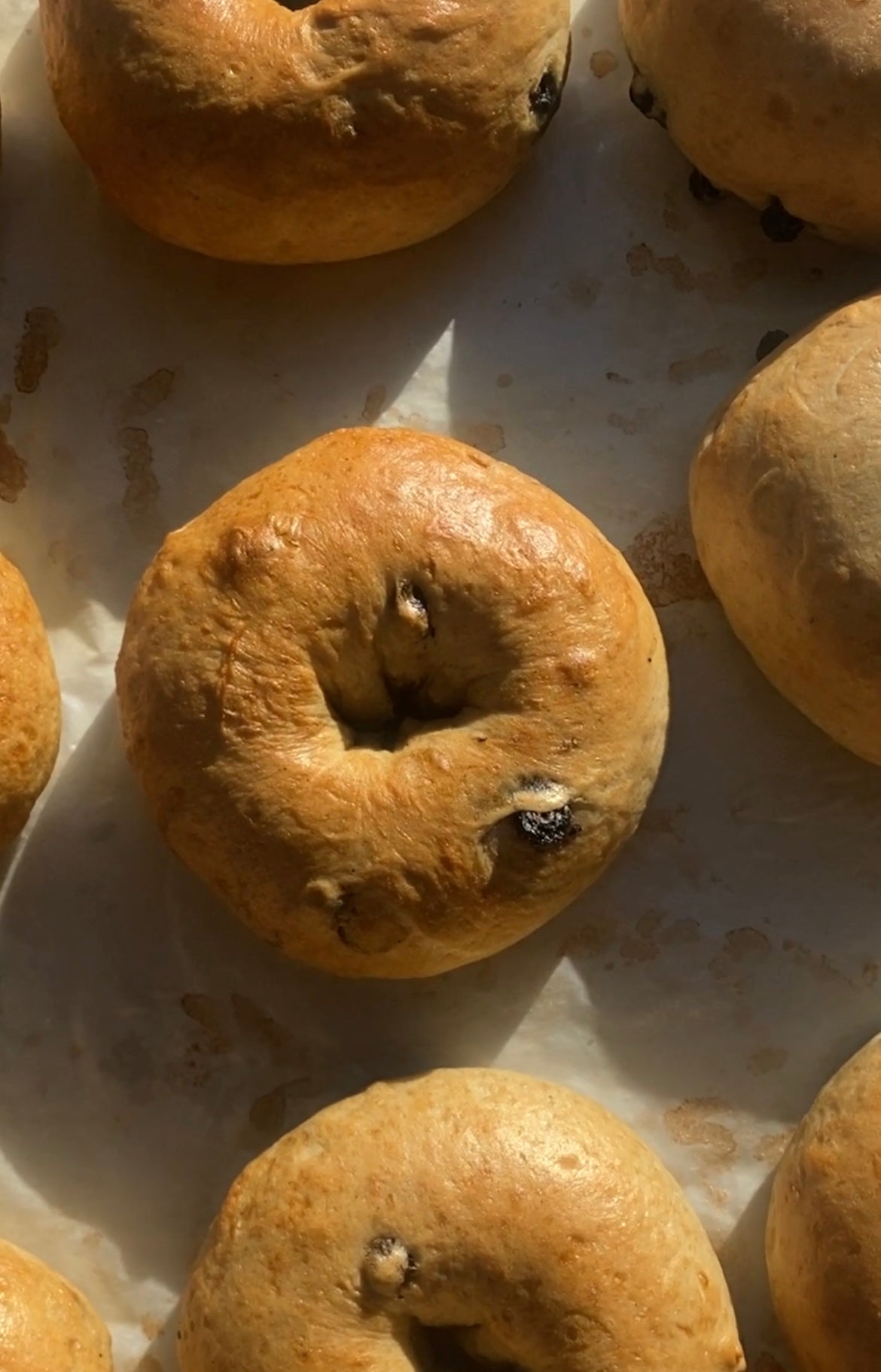 Sourdough Bagels