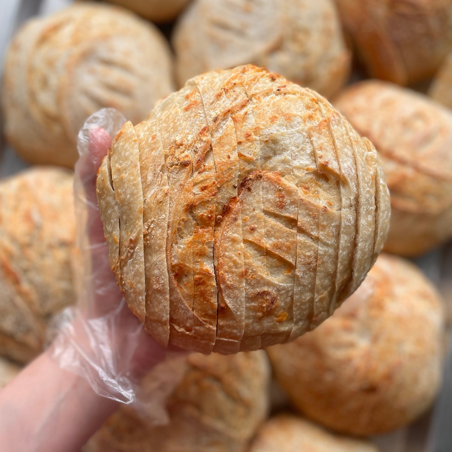 Special Flavor - Asiago Garlic