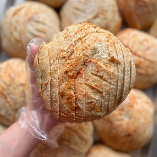Special Flavor - Asiago Garlic