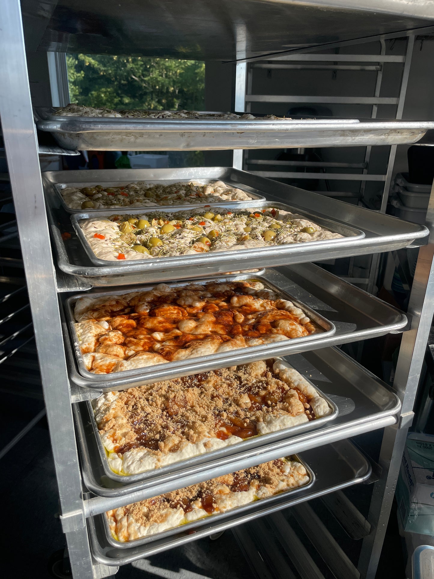 Focaccia sourdough - 1 ct