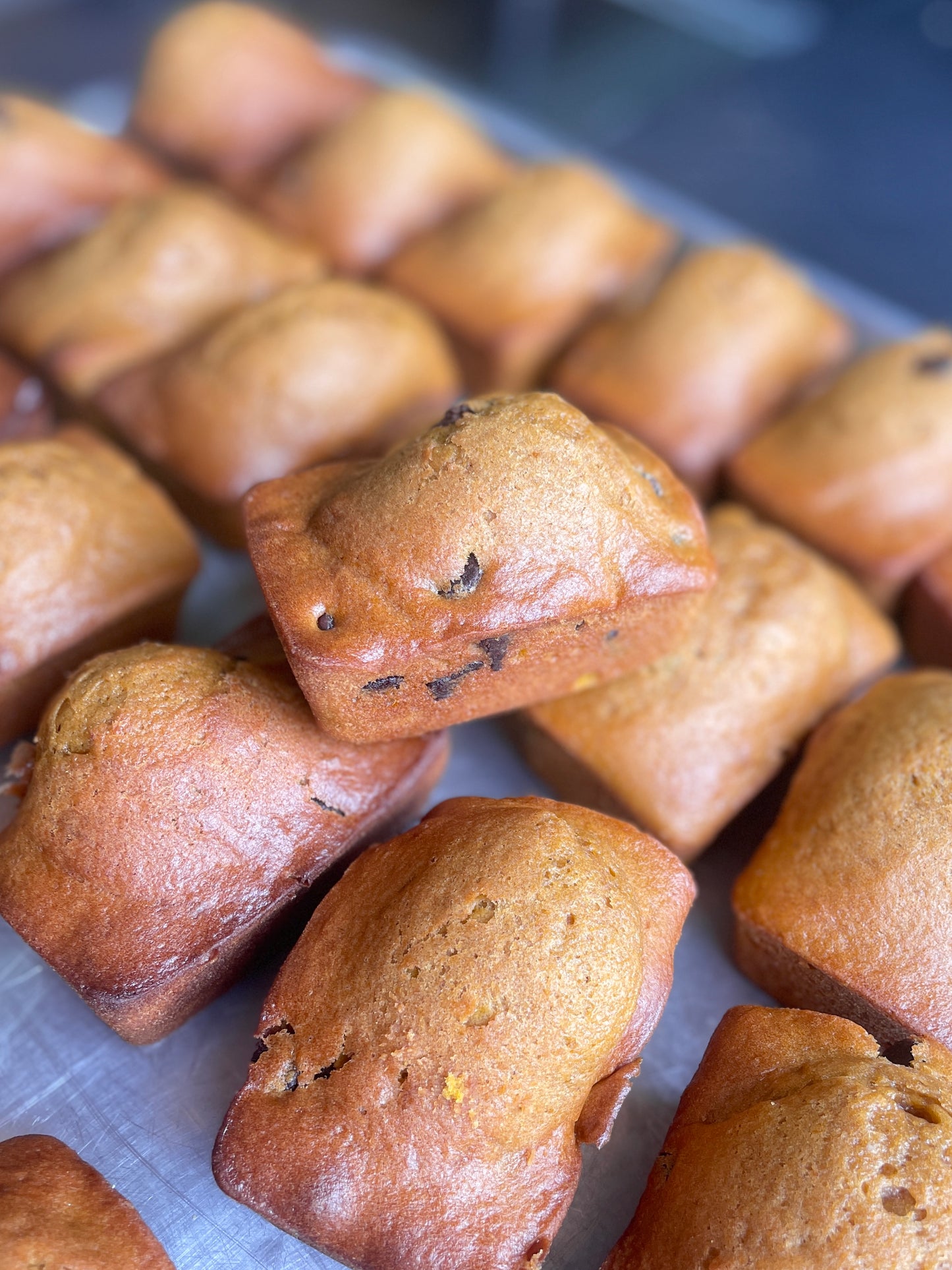 Pumpkin sweet bread - sourdough!