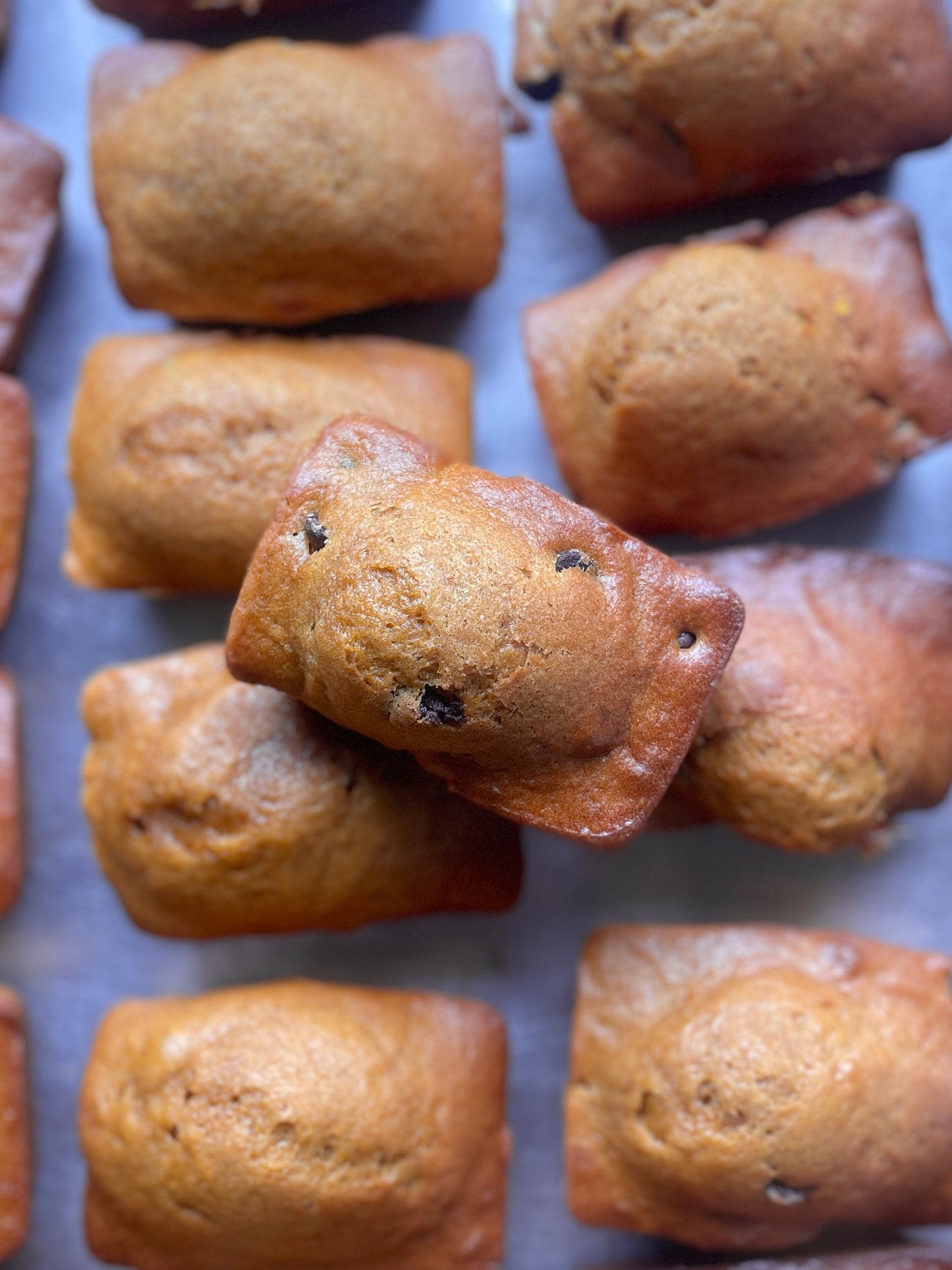 Pumpkin sweet bread - sourdough!