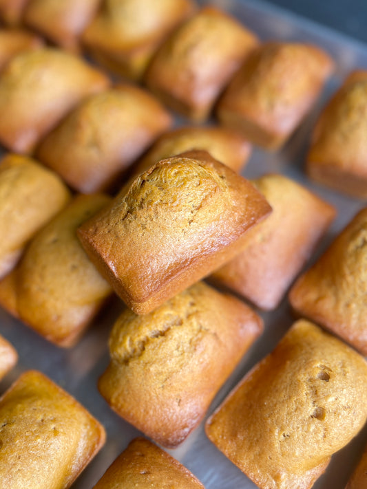 Pumpkin sweet bread - sourdough!