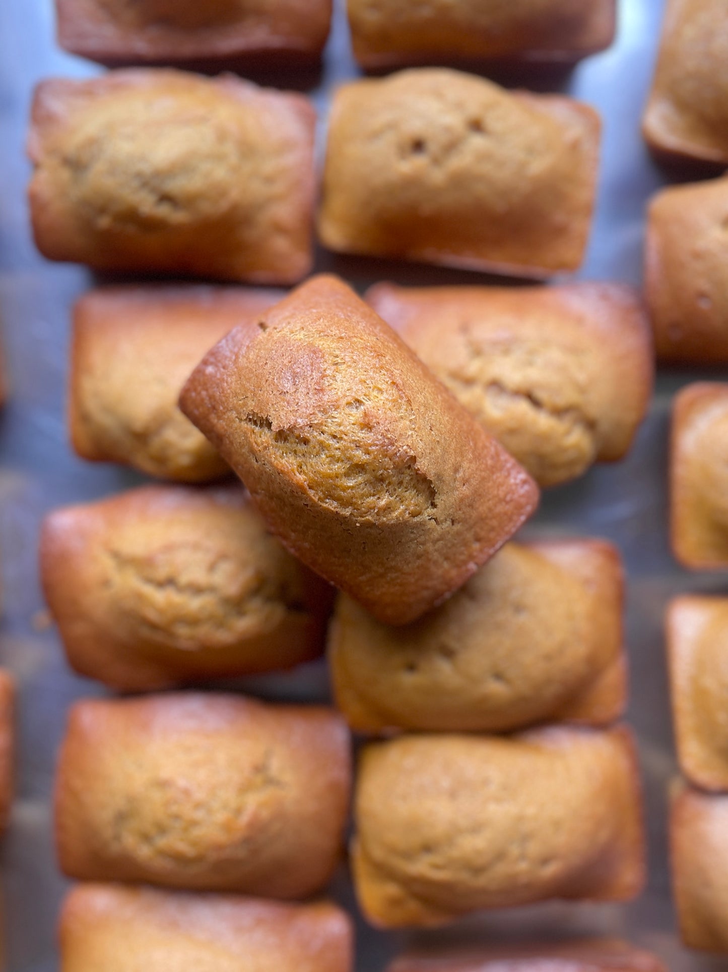 Pumpkin sweet bread - sourdough!